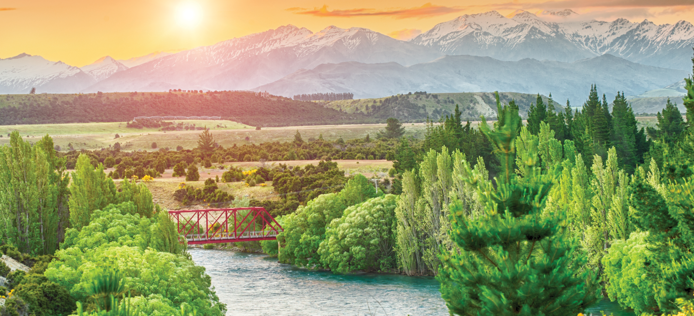 Sbutt Issue 135 Feb Mar 2020