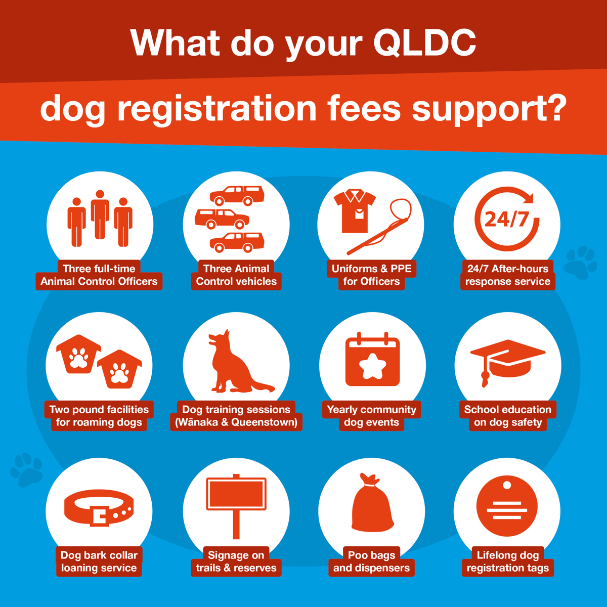 QLDC Dog Run Social Graphics Multiple Kinds May25 01